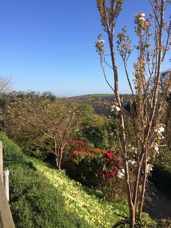 Boscastle House Bed & Breakfast ภายนอก รูปภาพ