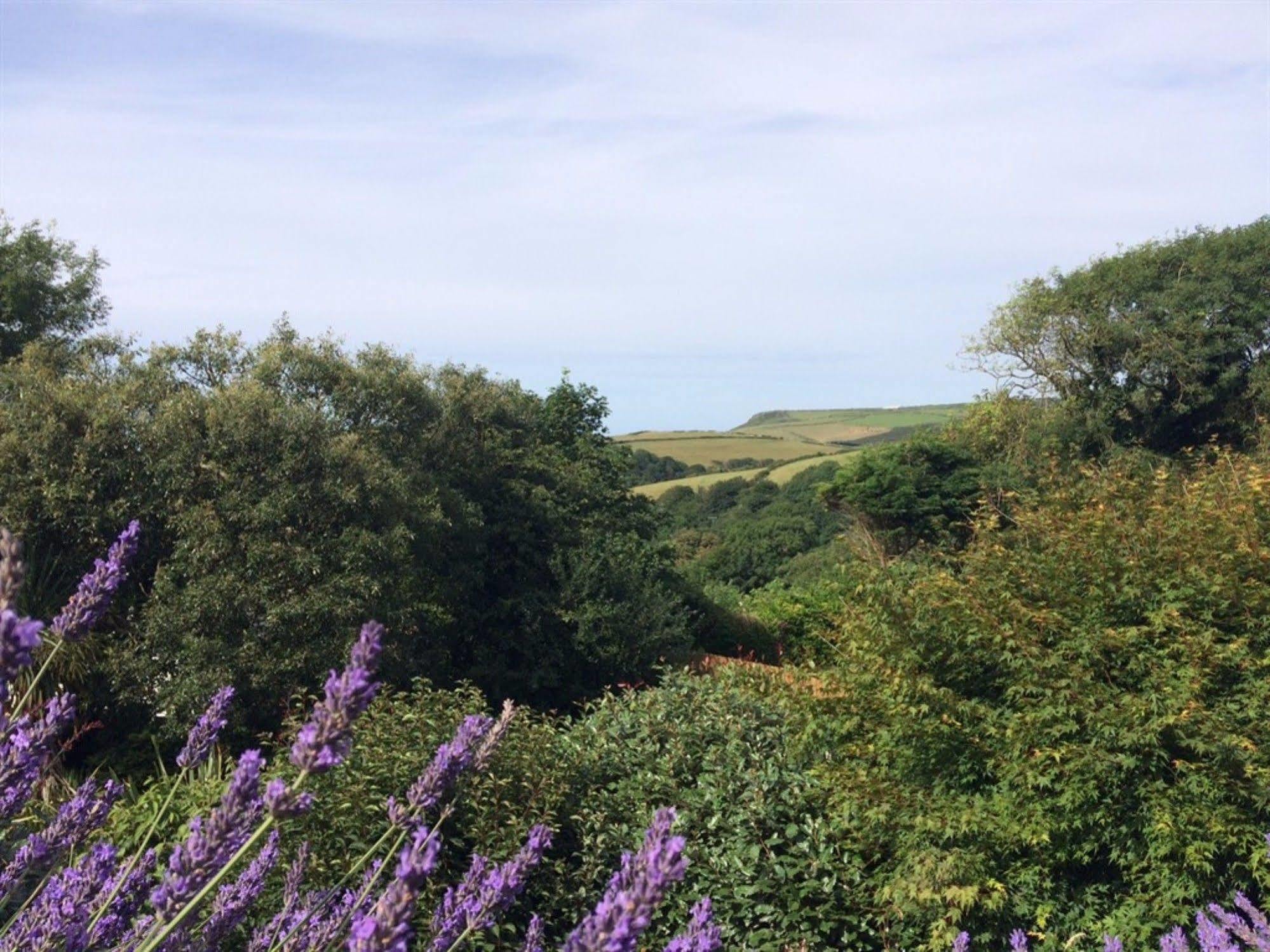 Boscastle House Bed & Breakfast ภายนอก รูปภาพ