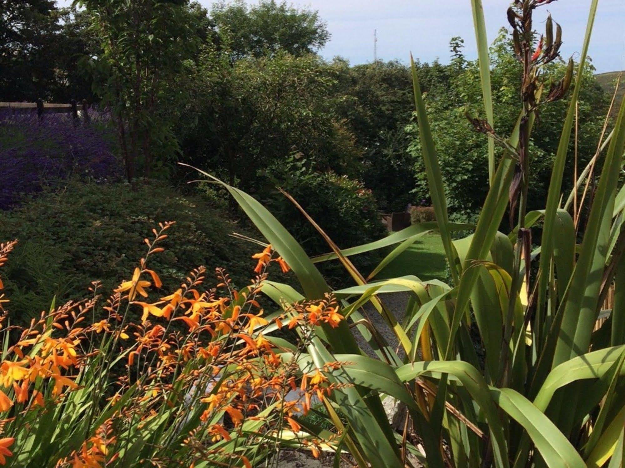 Boscastle House Bed & Breakfast ภายนอก รูปภาพ